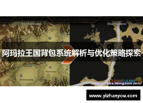 阿玛拉王国背包系统解析与优化策略探索